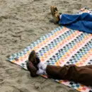 EcoLoom Turkish Cotton Blanket